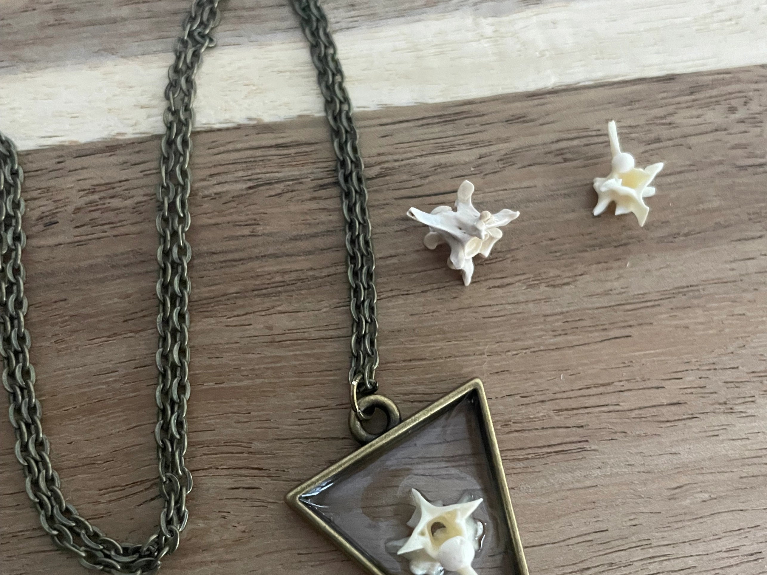 Pygmy Rattlesnake Vertebrae Necklace