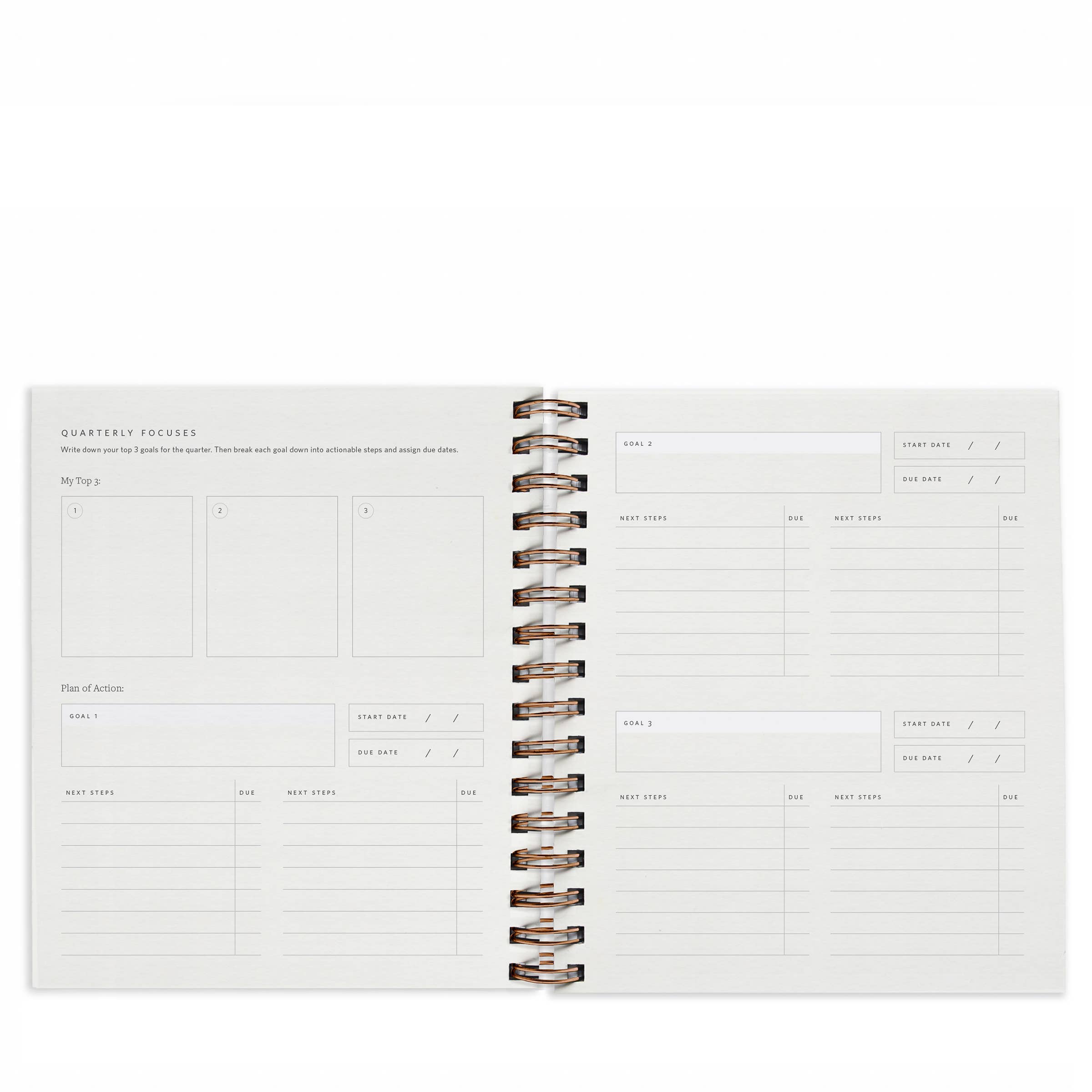 Quarterly Overview Undated Planner - 2 Colors