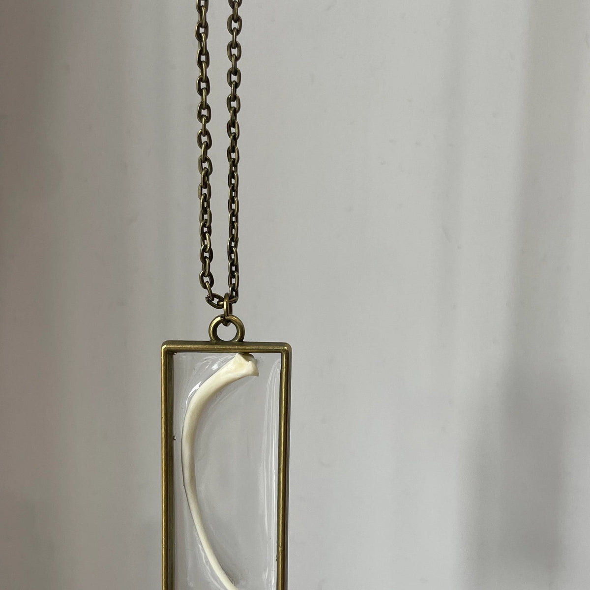 Ball Python Rib Bone Necklace