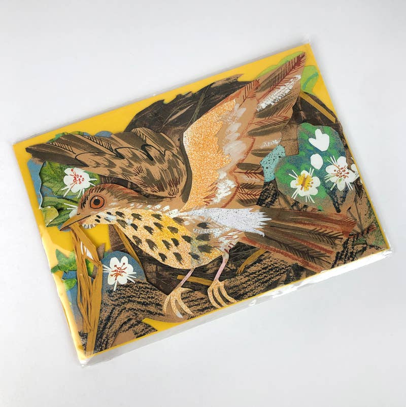 Nest Collage Concertina Card
