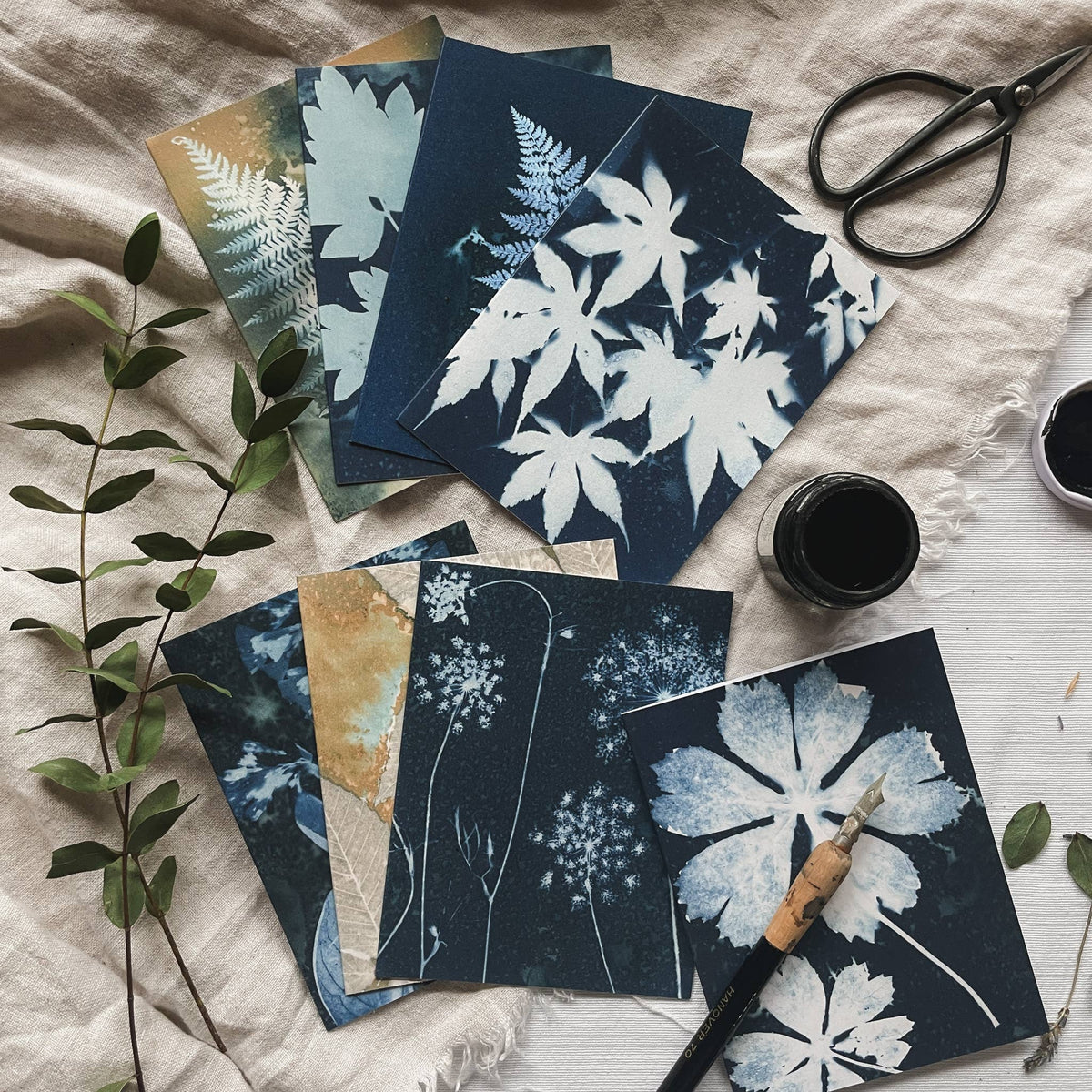 Slow Mornings - Botanical Cyanotype Cards Boxed Set