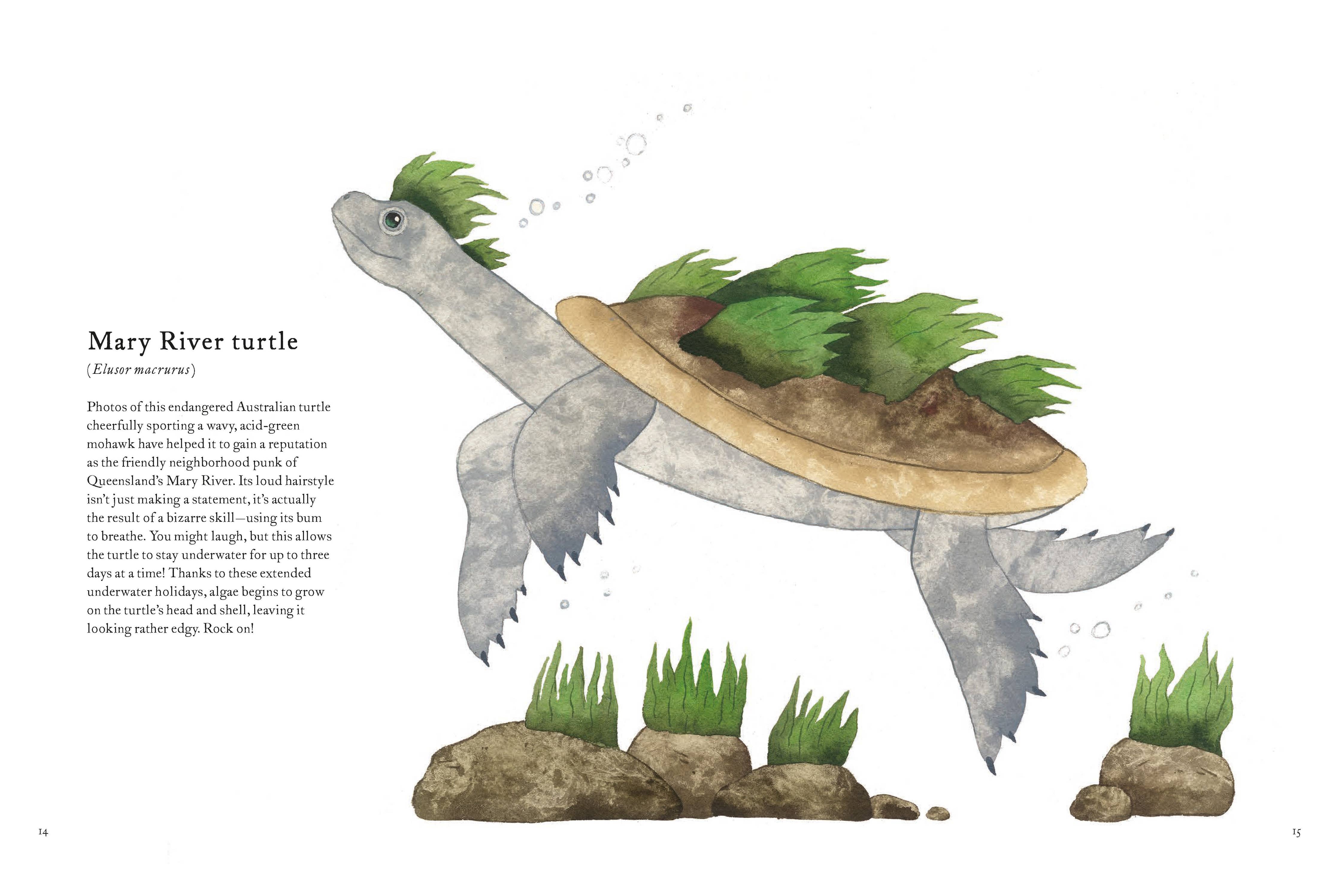 Colorful World of Reptiles Book