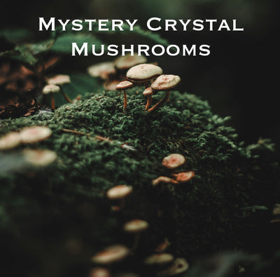 Mystery Crystal Mushrooms