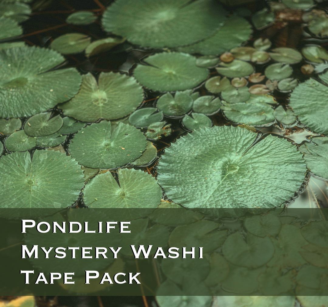 Pondlife Mystery Washi Tape Pack