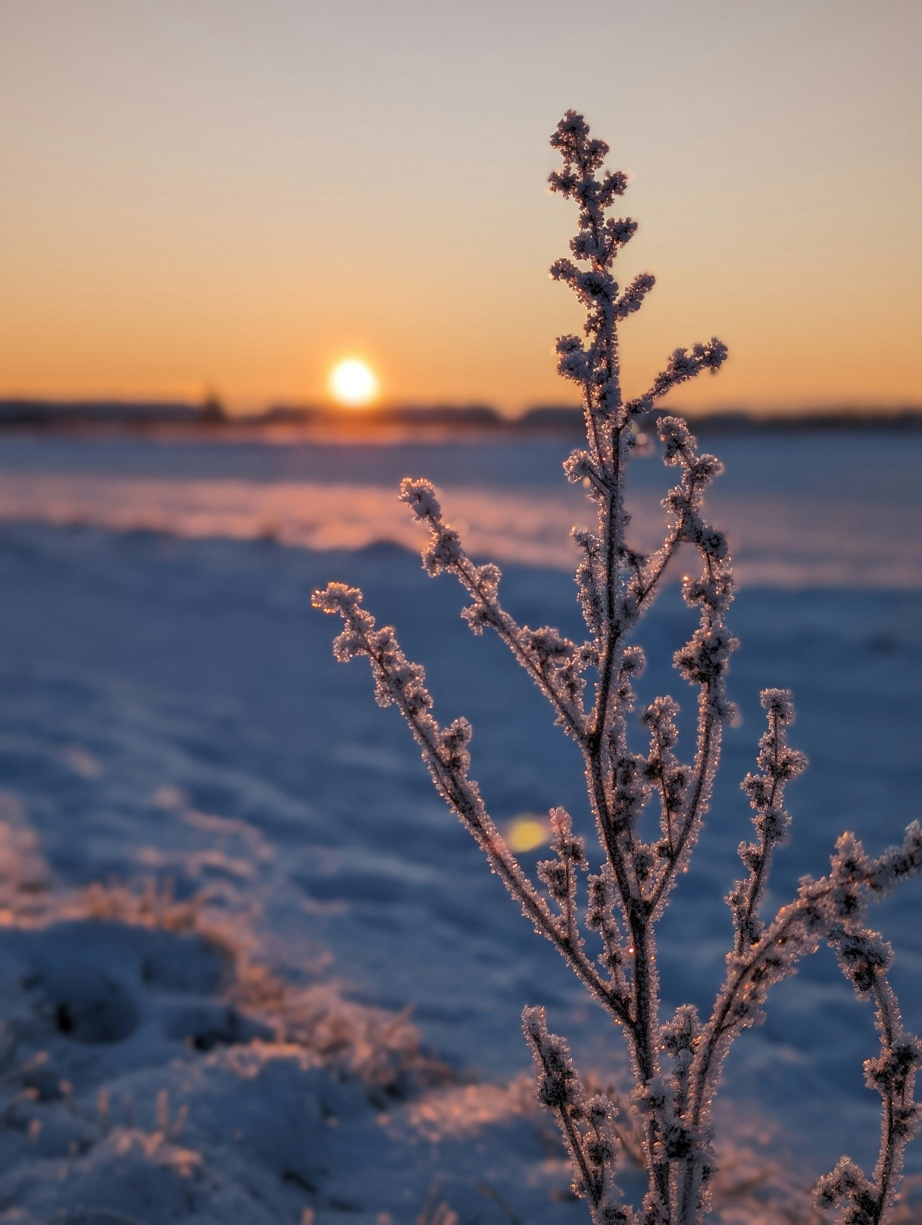 Intentional Peace: Winter Reset Mystery Theme Set