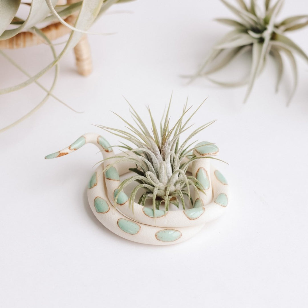 Self Care Ceramic Snake - Coiled Sylvia