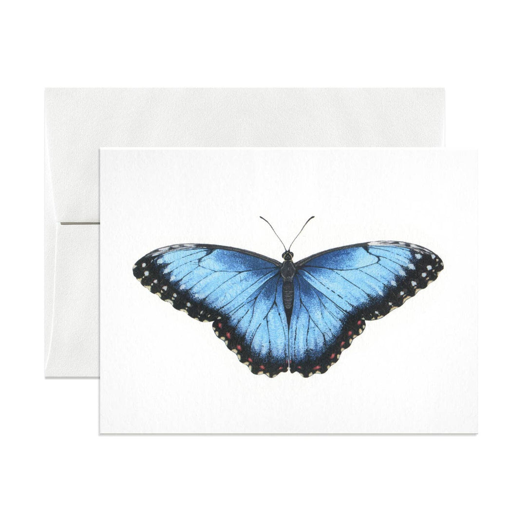 Blue Morpho Butterfly Card