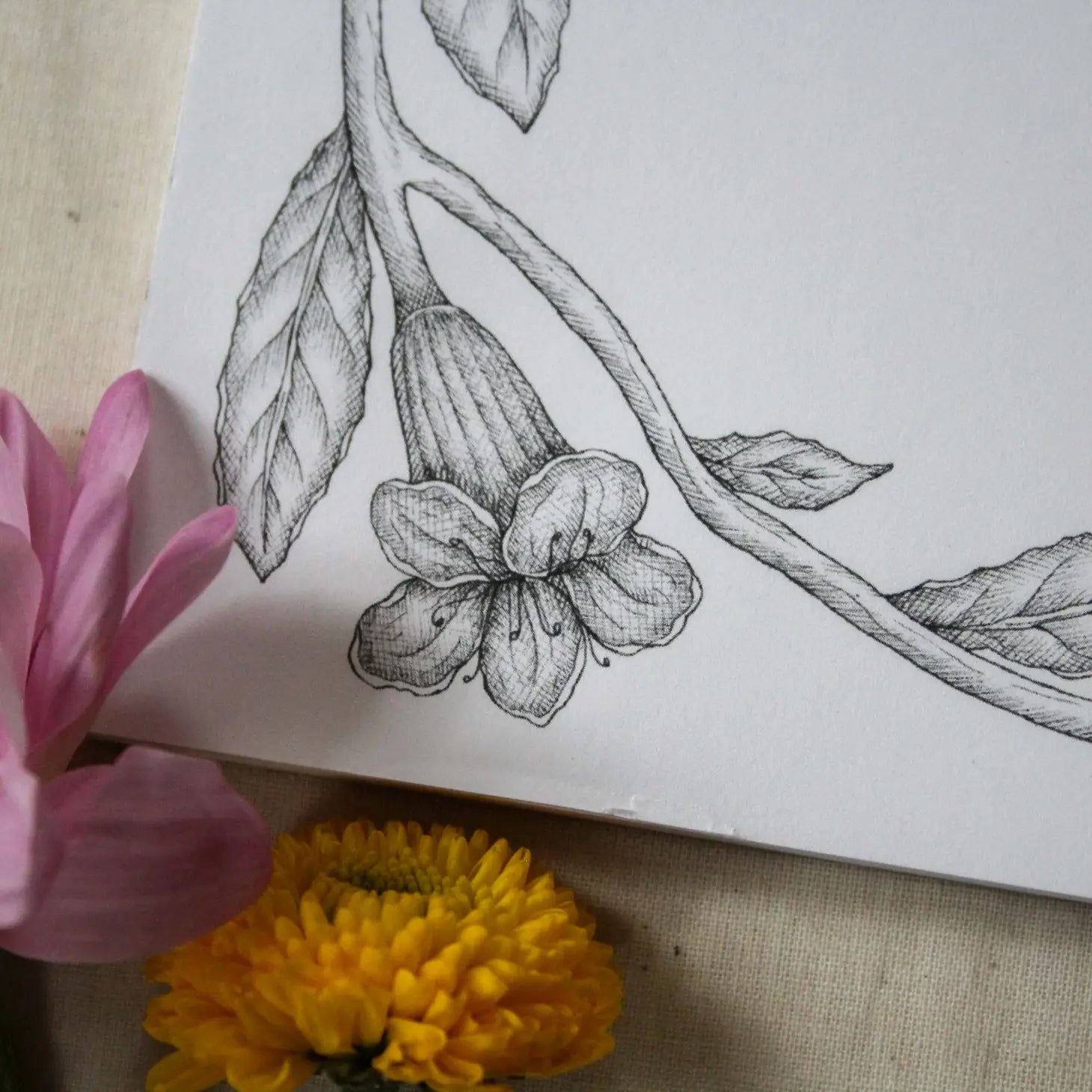 The Hummingbird Notepad