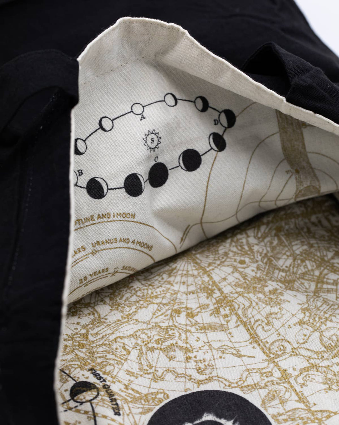 Astronomy Reversible Canvas Tote