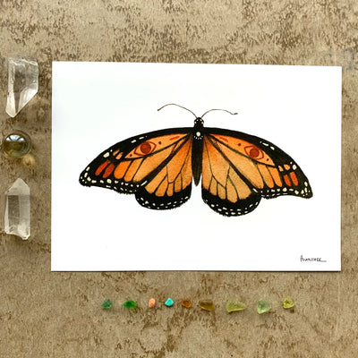 Monarch Print