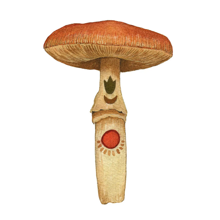 Carnelian Mushroom Print