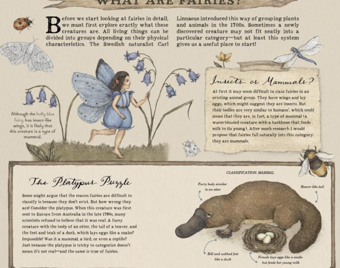 A Natural History of Fairies