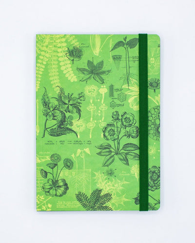 Botany Explorer Notebook