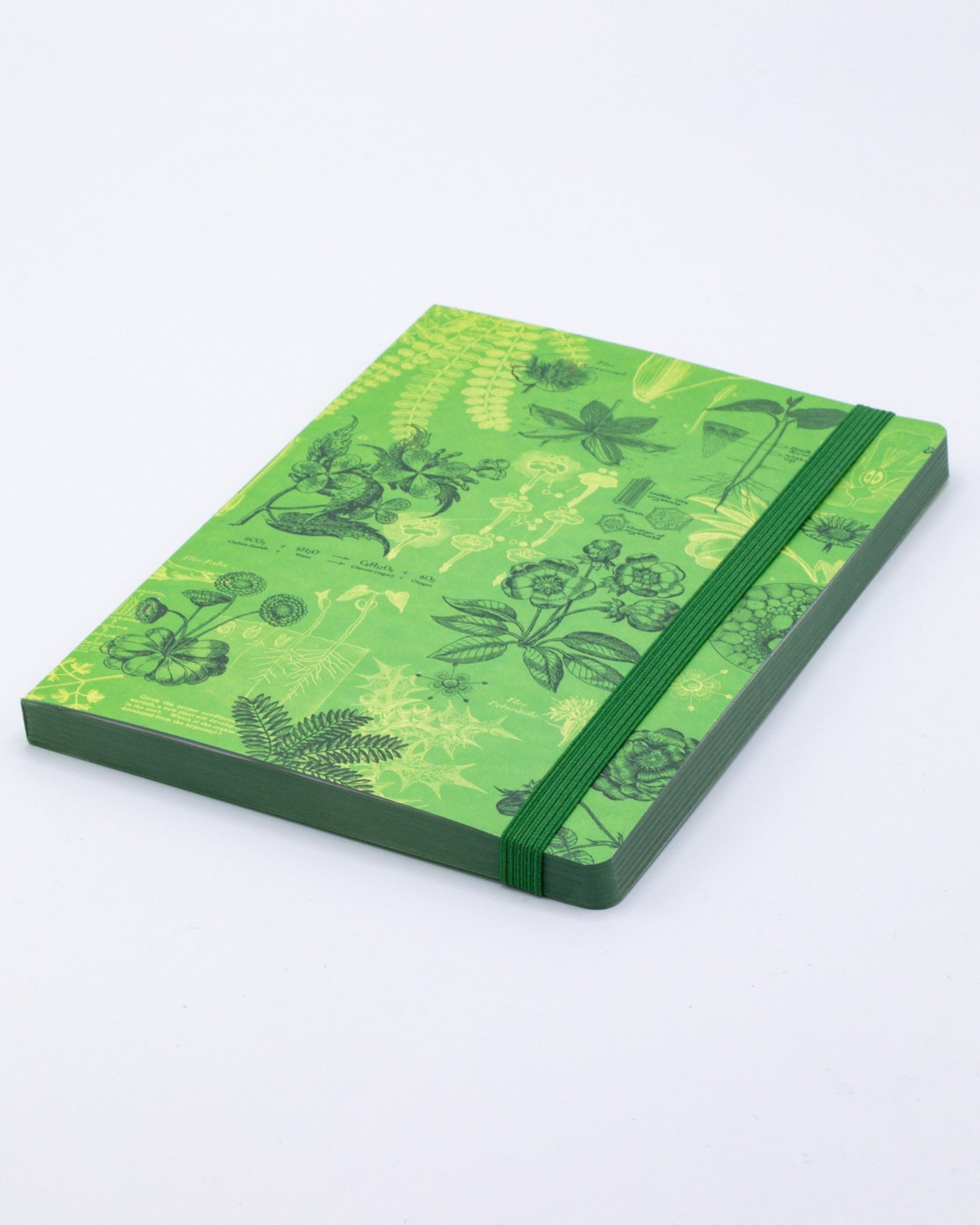 Botany Explorer Notebook