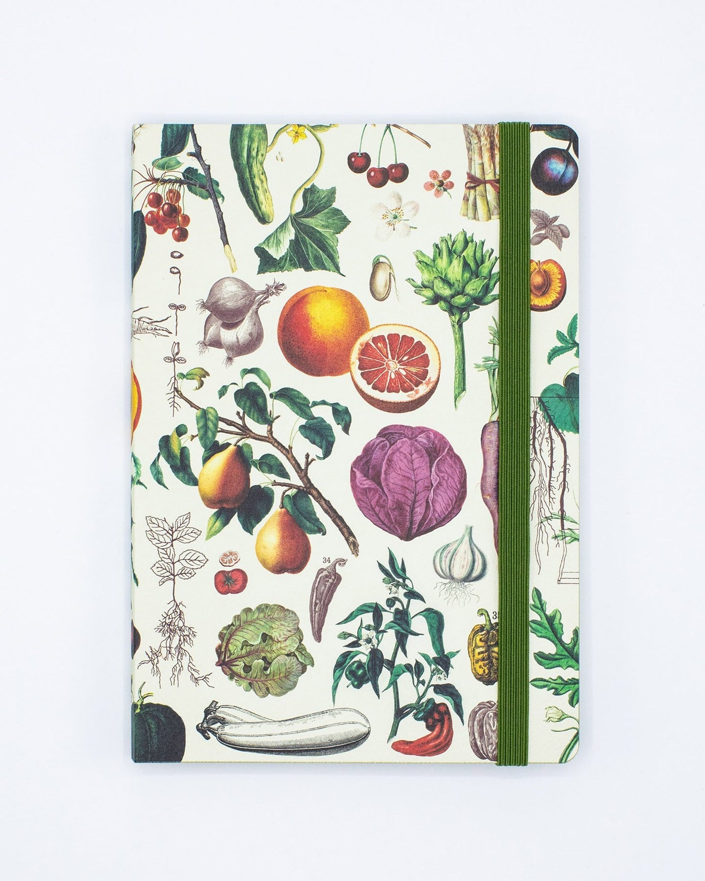 Fruit & Veggies Explorer Notebook