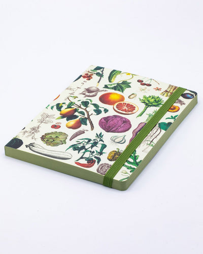 Fruit & Veggies Explorer Notebook
