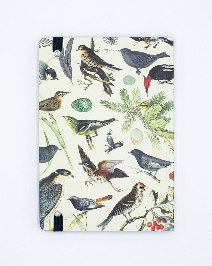 Ornithology Explorer Notebook