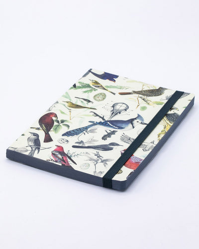 Ornithology Explorer Notebook
