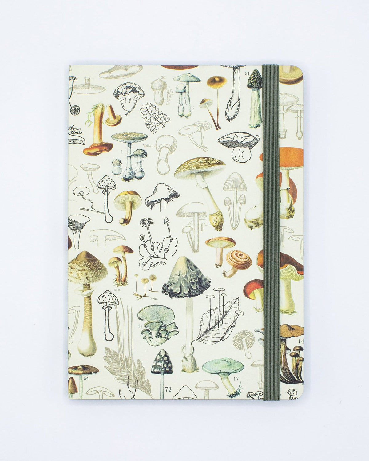 Woodland Mushroom Explorer Notebook