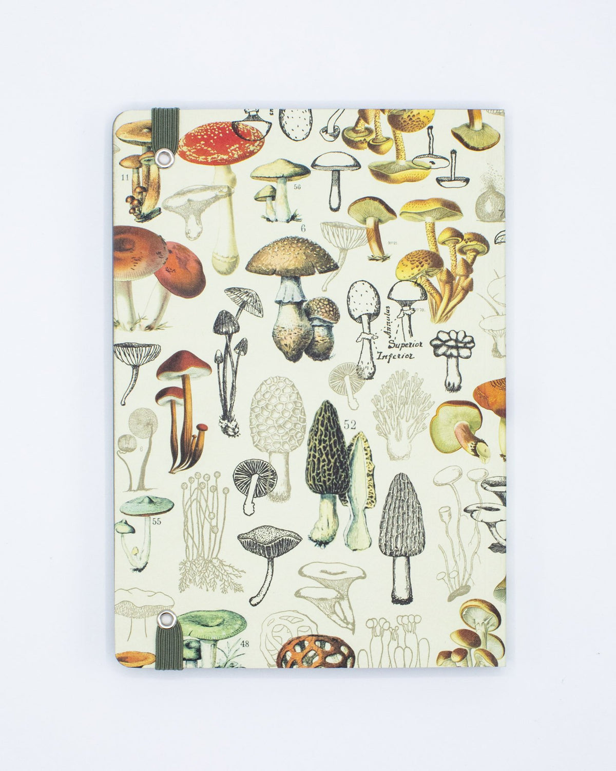 Woodland Mushroom Explorer Notebook