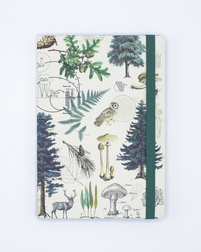 Into the Forest Explorer Notebook