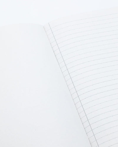 Pharmacy Explorer Notebook