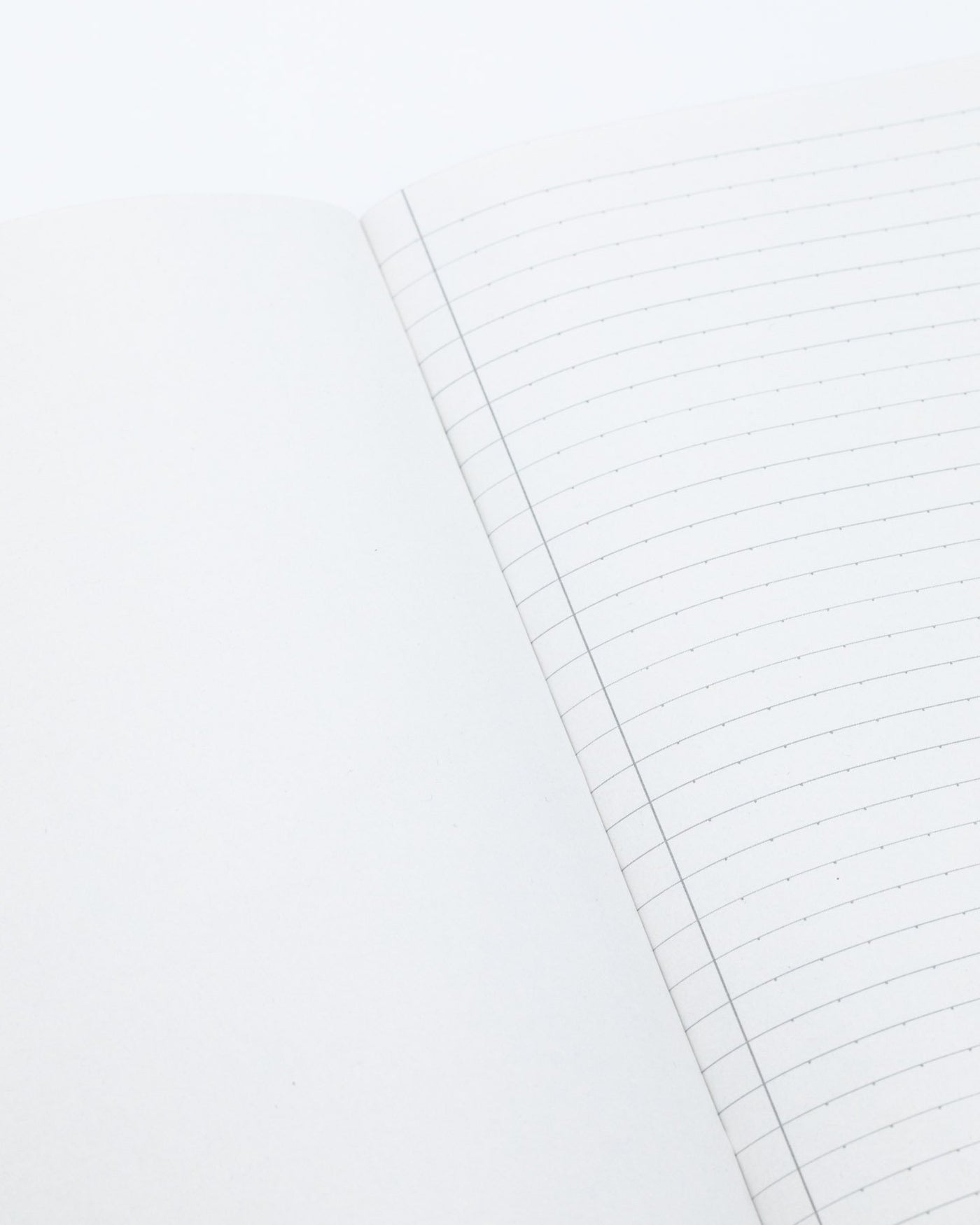 Fruit & Veggies Explorer Notebook