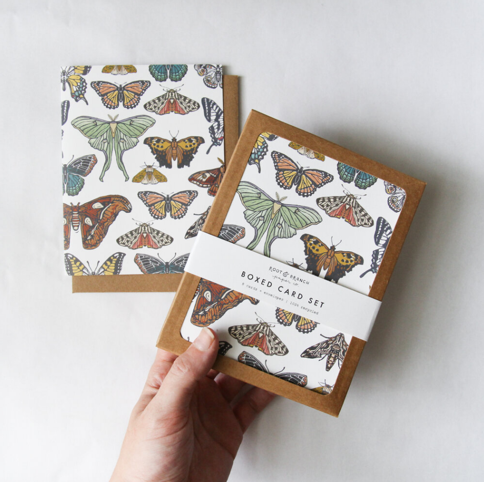 Butterfly + Moth Card Box Set