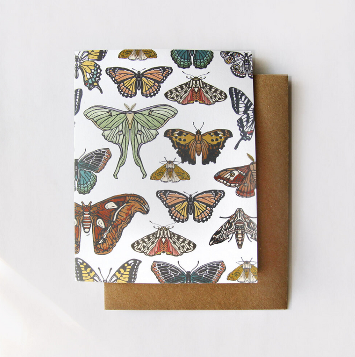 Butterfly + Moth Card Box Set