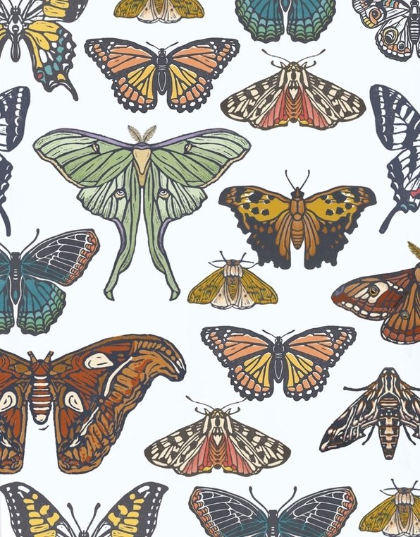 Butterfly + Moth Mystery Theme Set