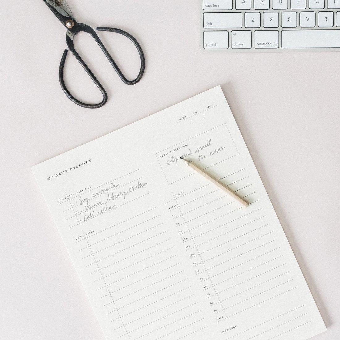 Daily Overview Planner Notepad