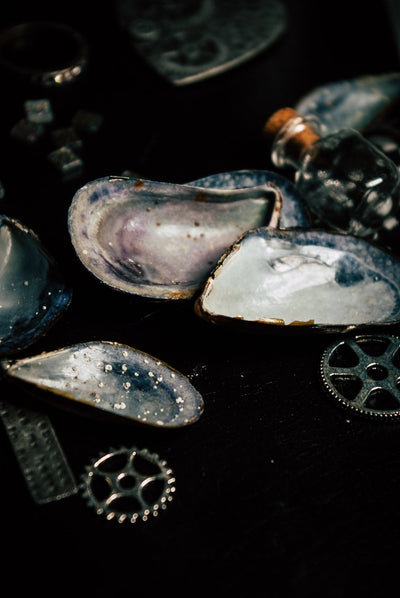 Deep Sea Siren Mystery Theme Set