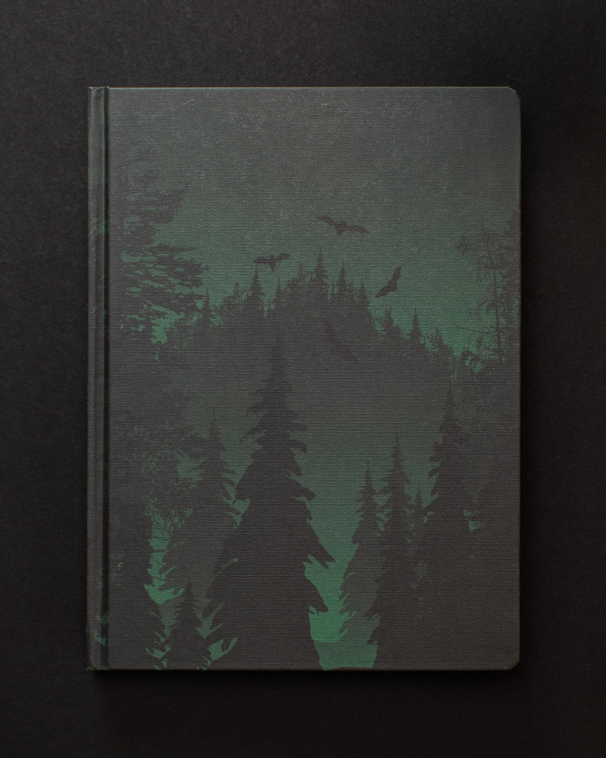Evergreen Forest Dark Matter Journal