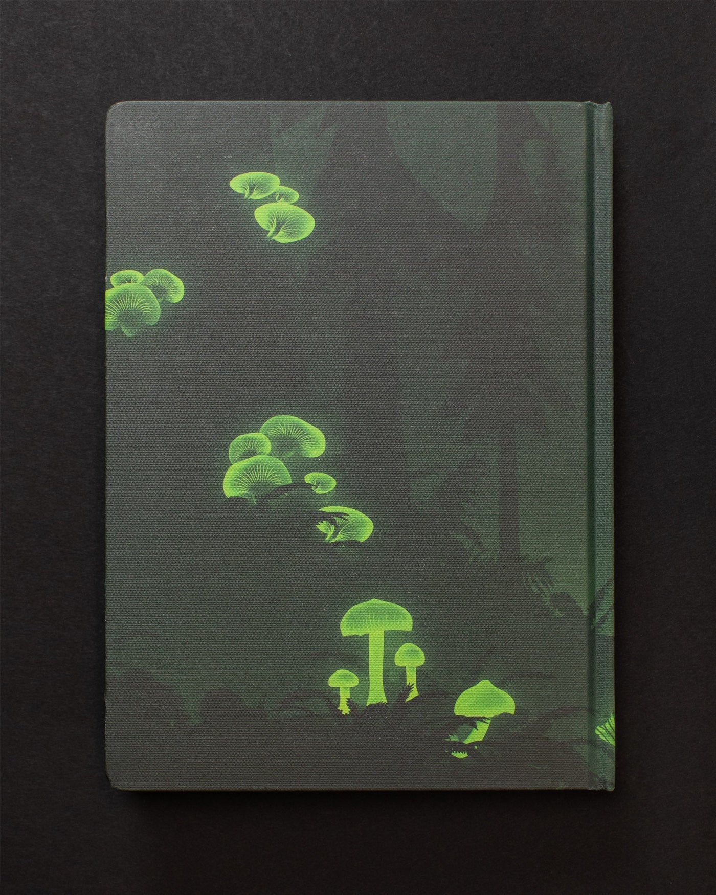 Bioluminescent Mushrooms Dark Matter Journal