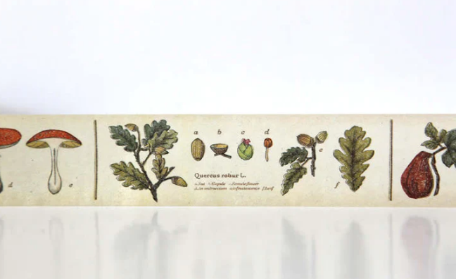 Encyclopedia Plant Washi Tape