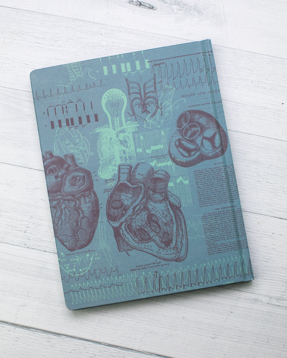 Cardiology Journal