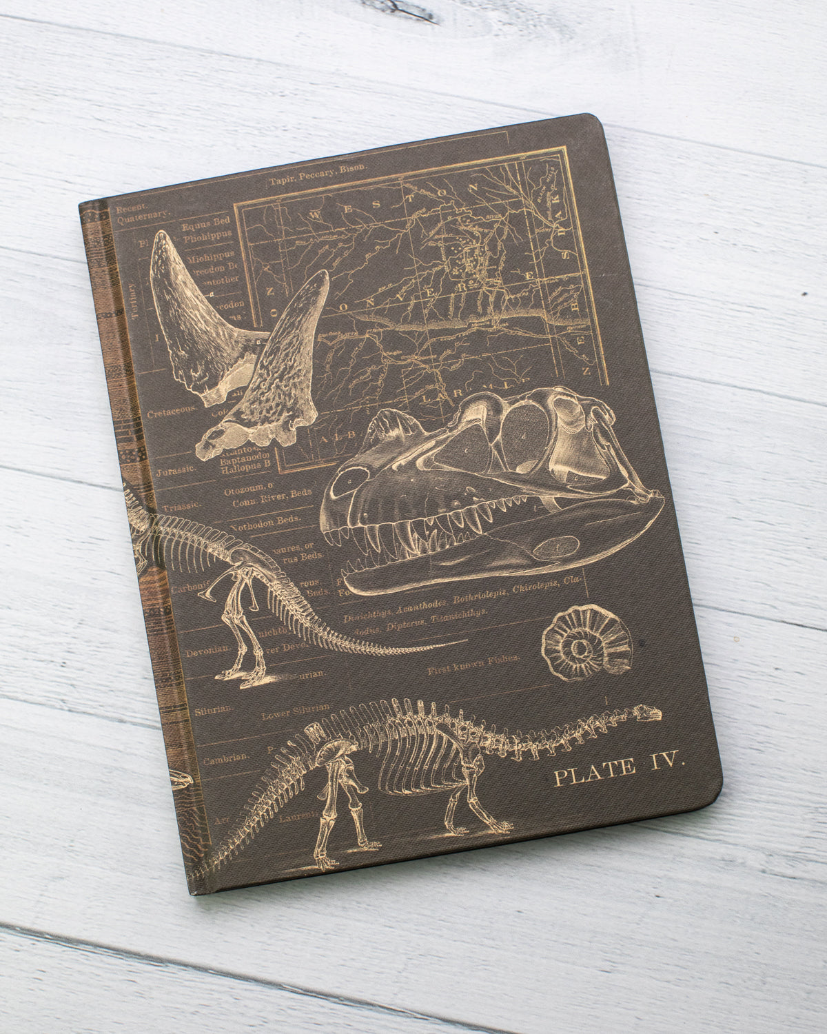Dinosaur Dig Journal