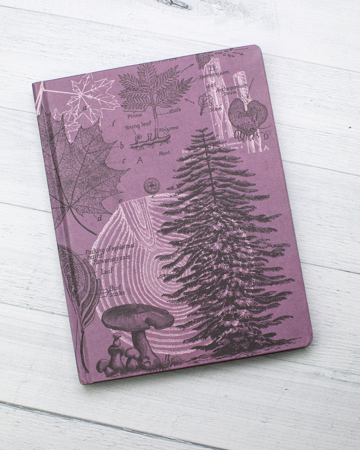 Forest at Dusk Journal