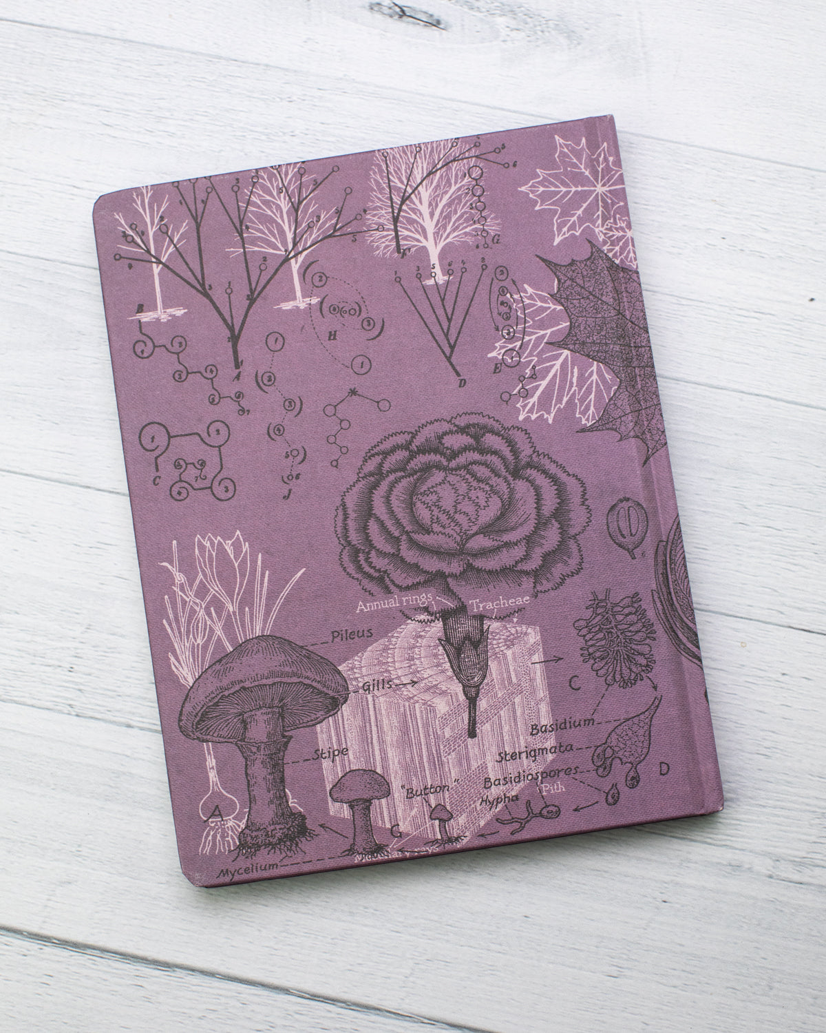 Forest at Dusk Journal
