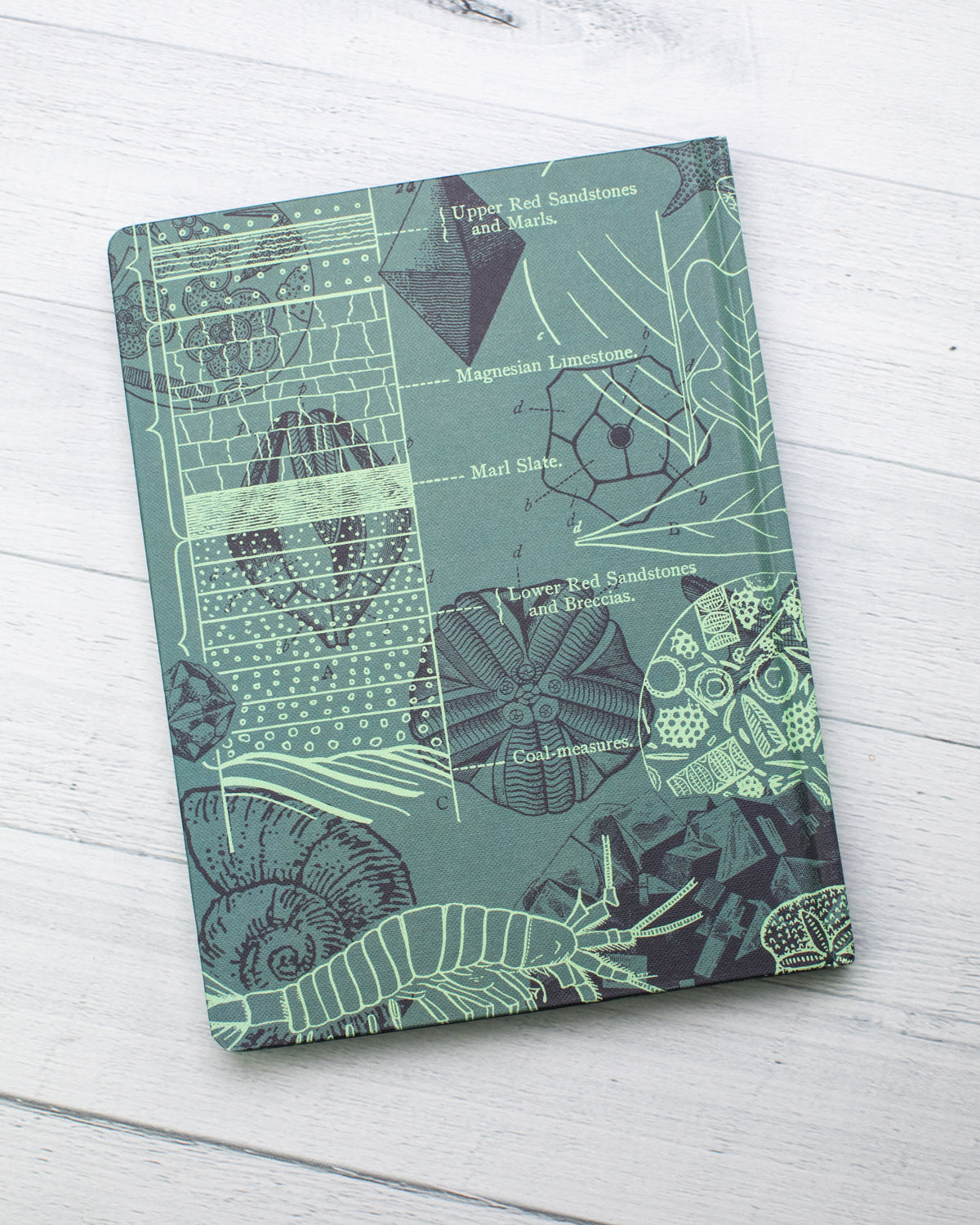 Sea Fossil Journal