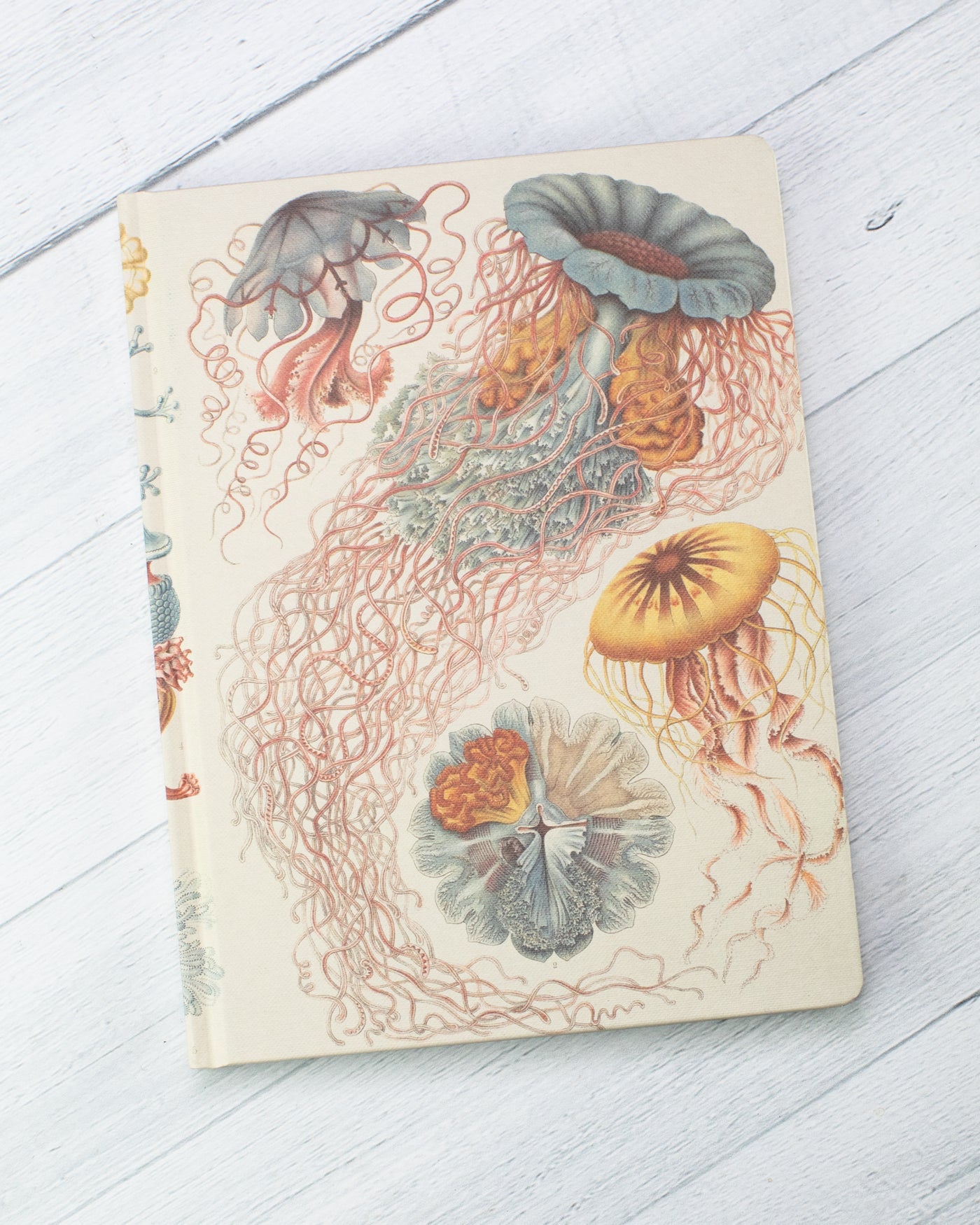 Haeckel Jellyfish Journal