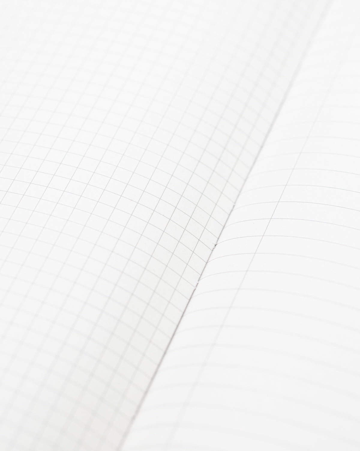Fern Journal