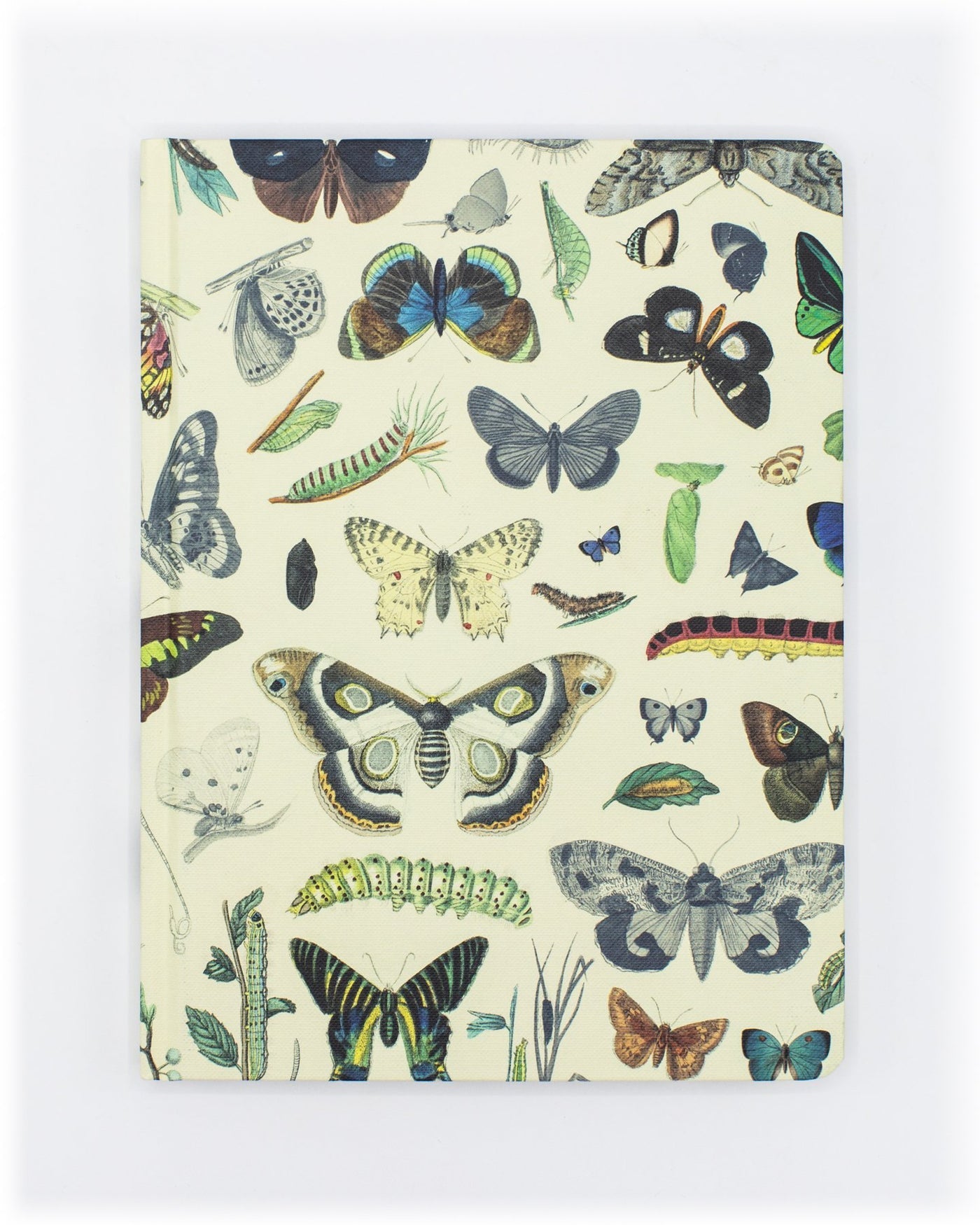 Vintage Butterfly Journal