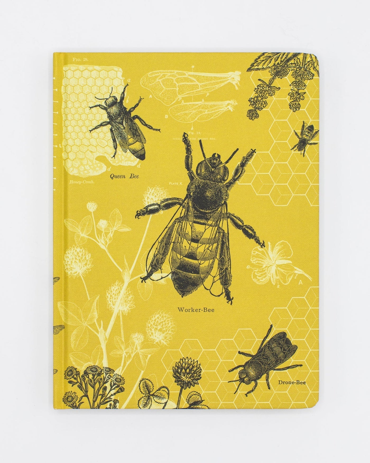 Bee Sketchbook