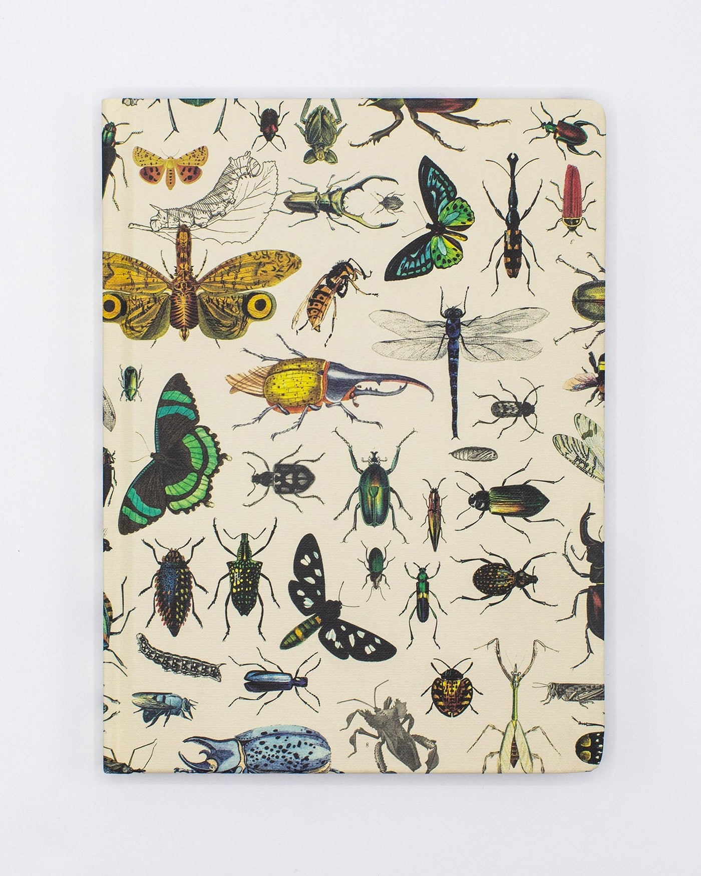 Insect Journal