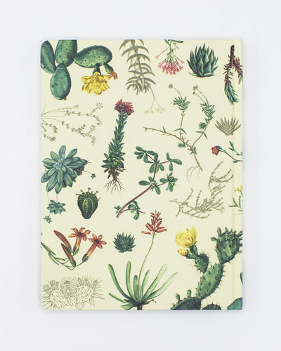 Succulent Sketchbook