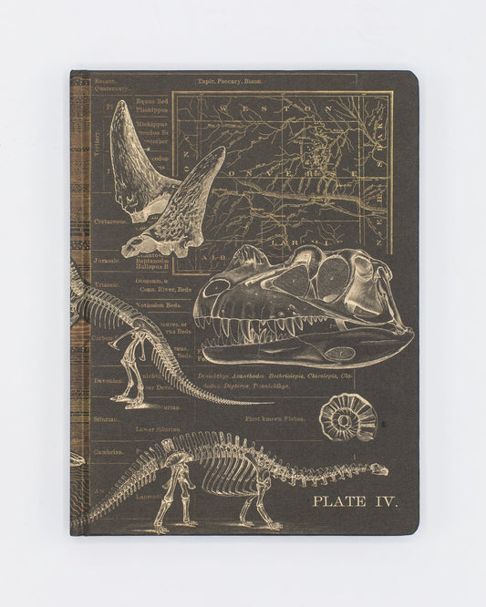 Dinosaur Dig Journal