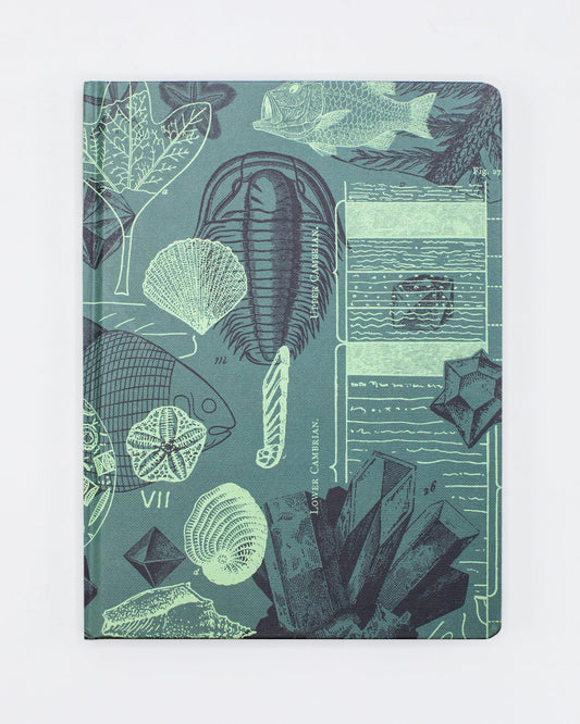 Sea Fossil Journal