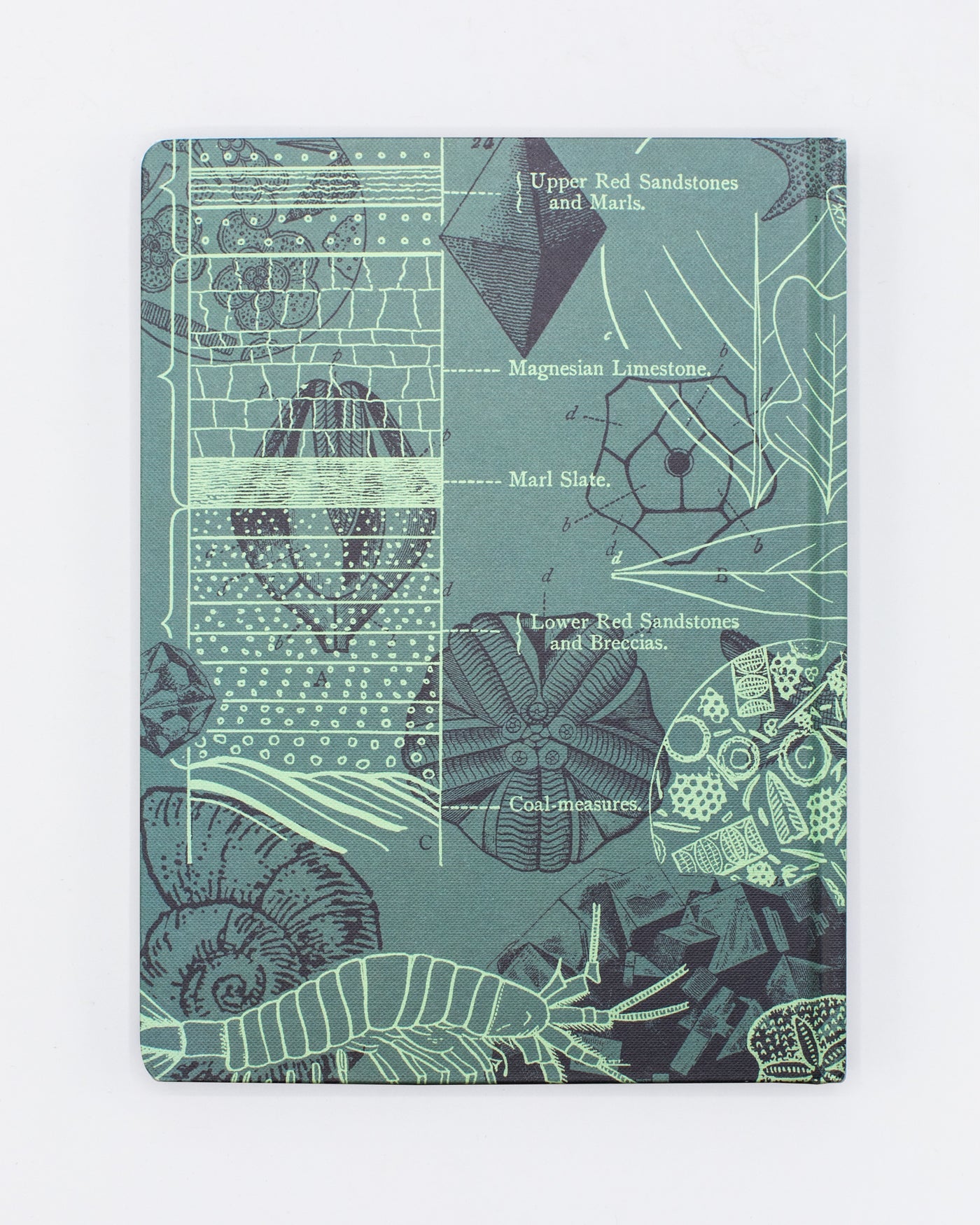 Sea Fossil Journal