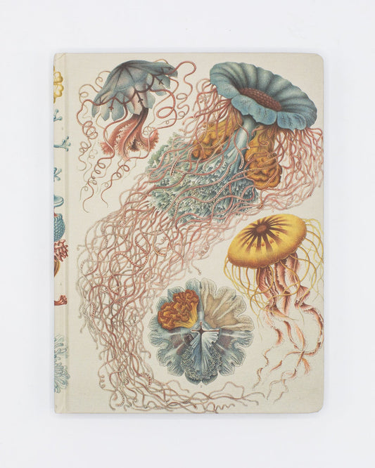 Haeckel Jellyfish Journal